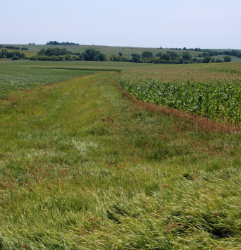 water grading in iowa